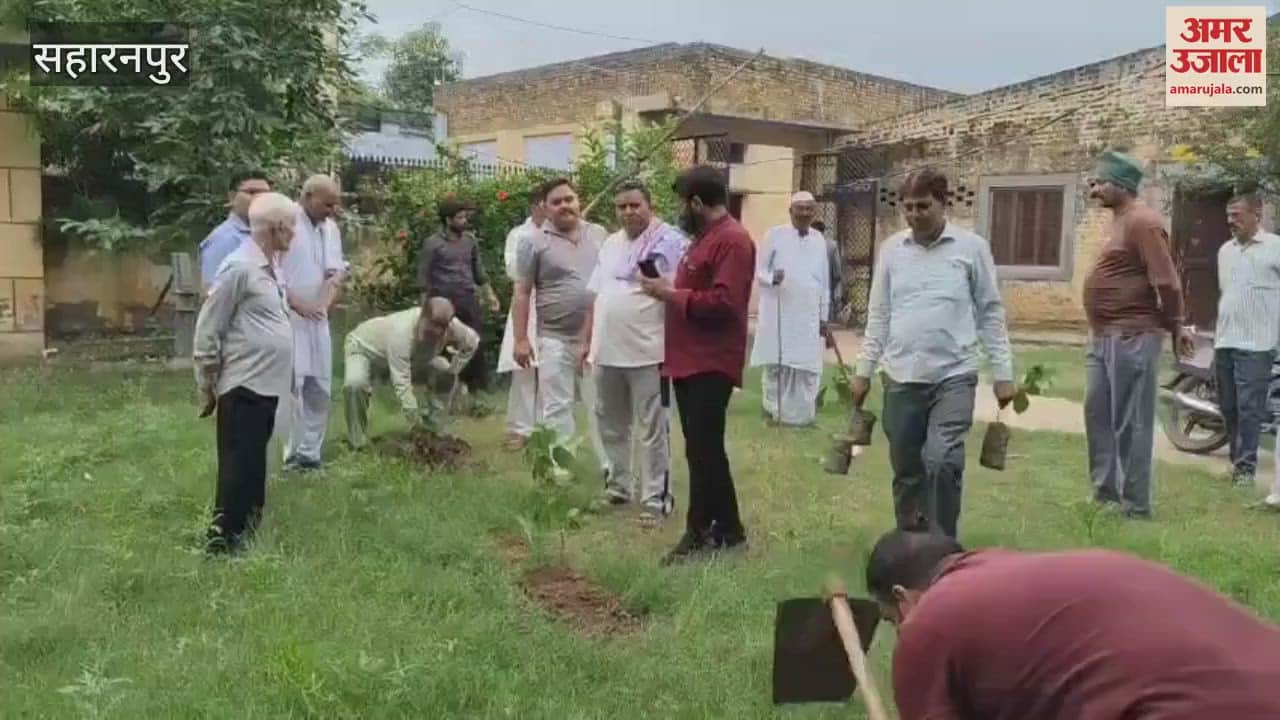 Saharanpur: BJP workers planted trees in Sultanpur, planted a tree in the name of mother