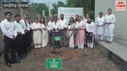 Under the mission 'One Judge One Plant', 16 judges planted saplings in Moga