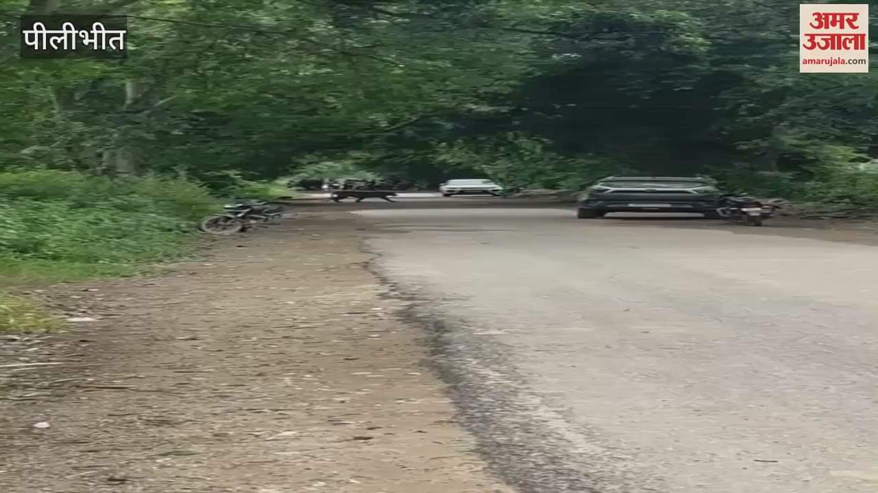 Tiger reached near the population in Pilibhit