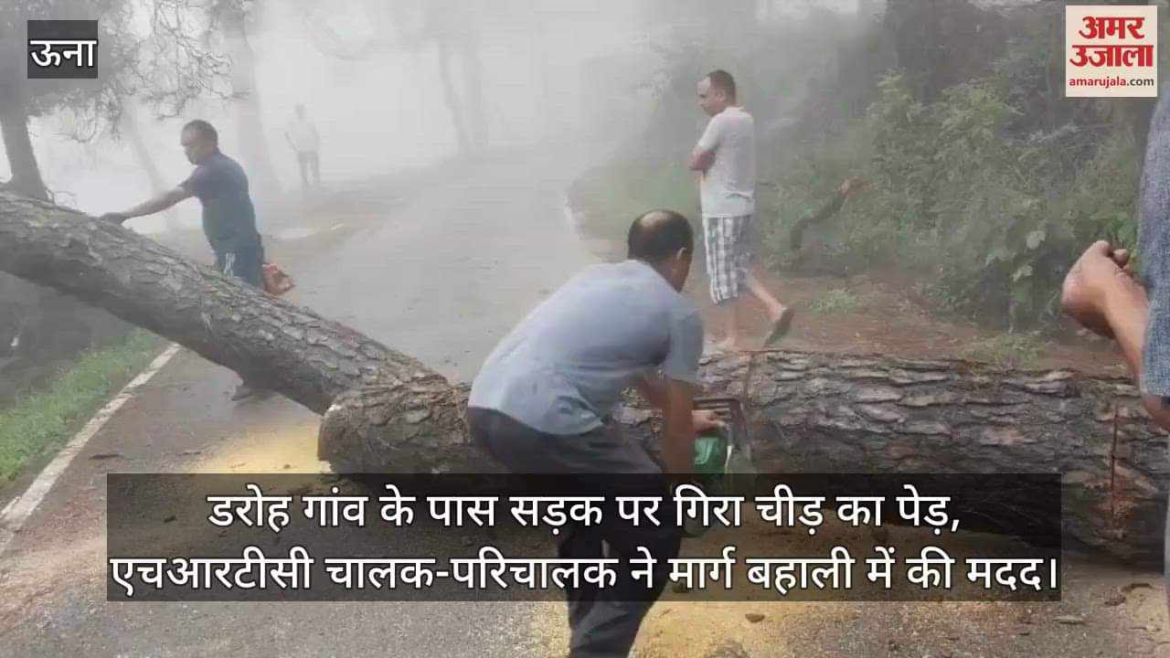 Pine tree fell on the road near Daroh village, HRTC driver-conductor helped in restoring the road