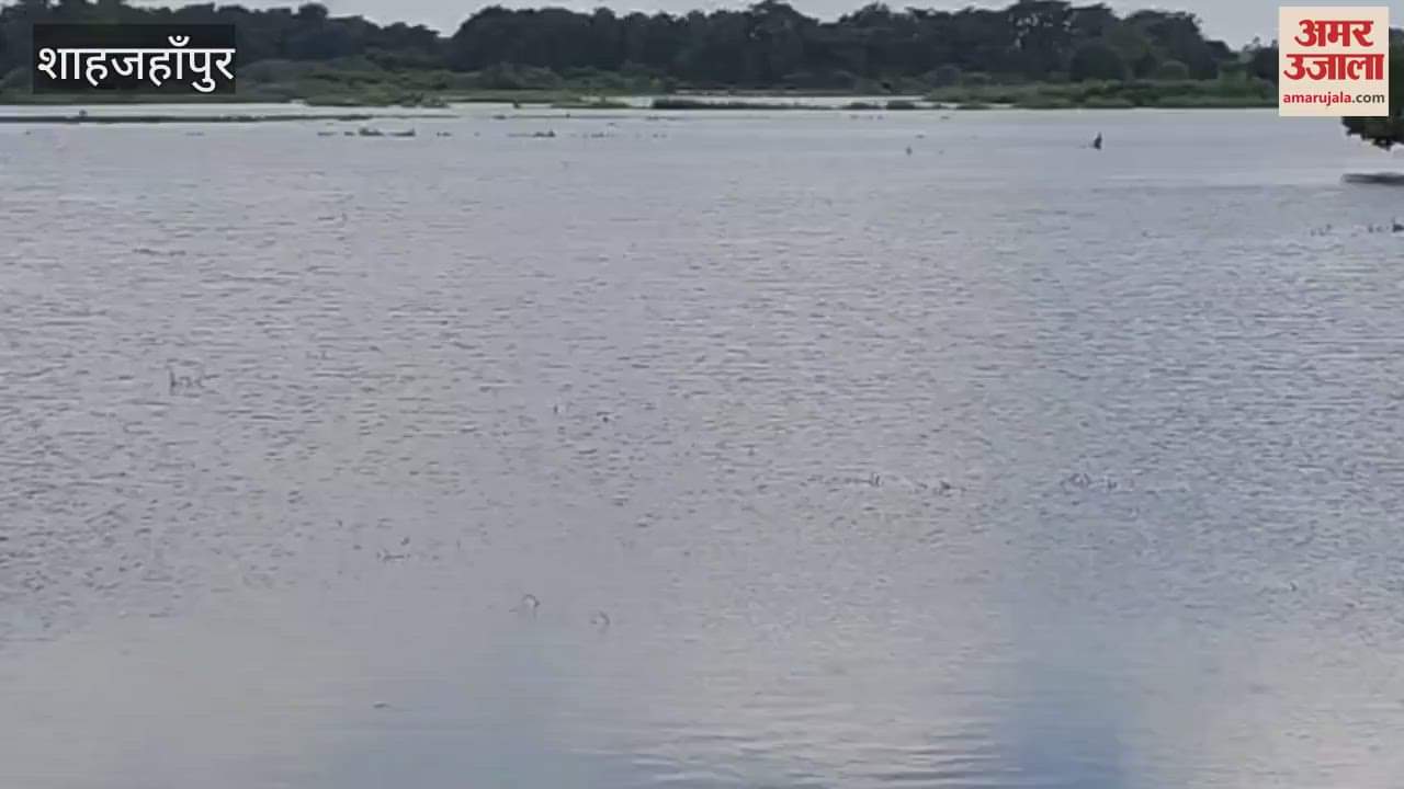 Crops submerged in water of Gomti river