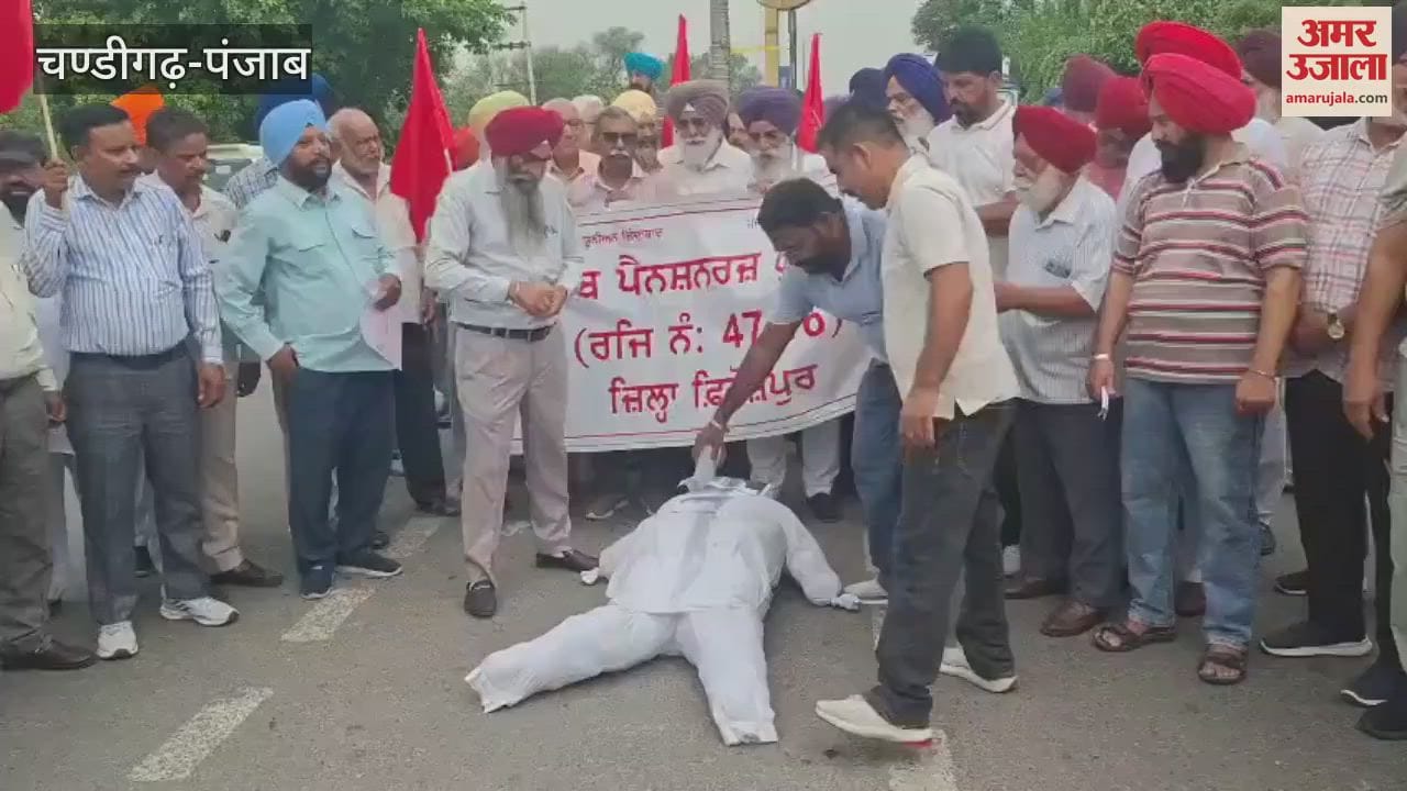 Employees burnt the effigy of the treasury minister in Ferozepur