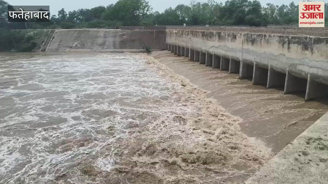 water level of Ghaggar river increased in Jakhal of Fatehabad, 8 thousand cusecs of water reached Chandpura head