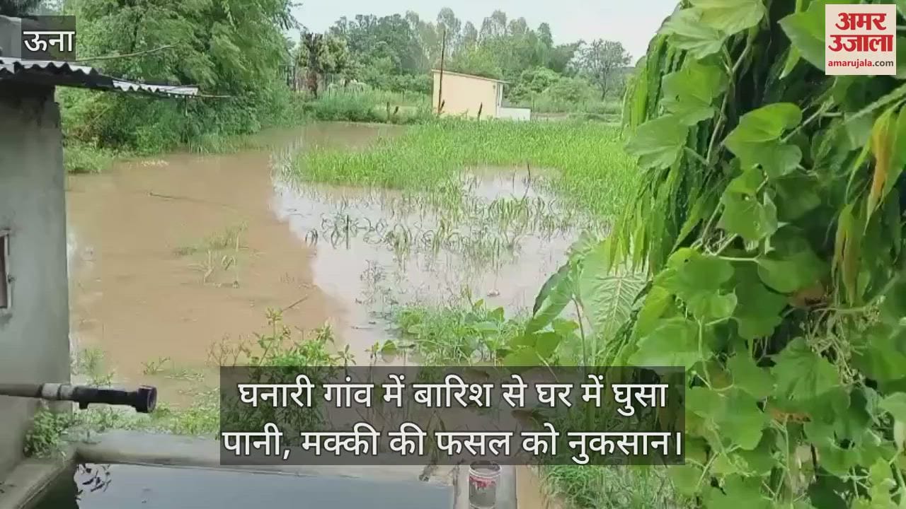 Water entered the house due to rain in Ghanari village, maize crop was damaged