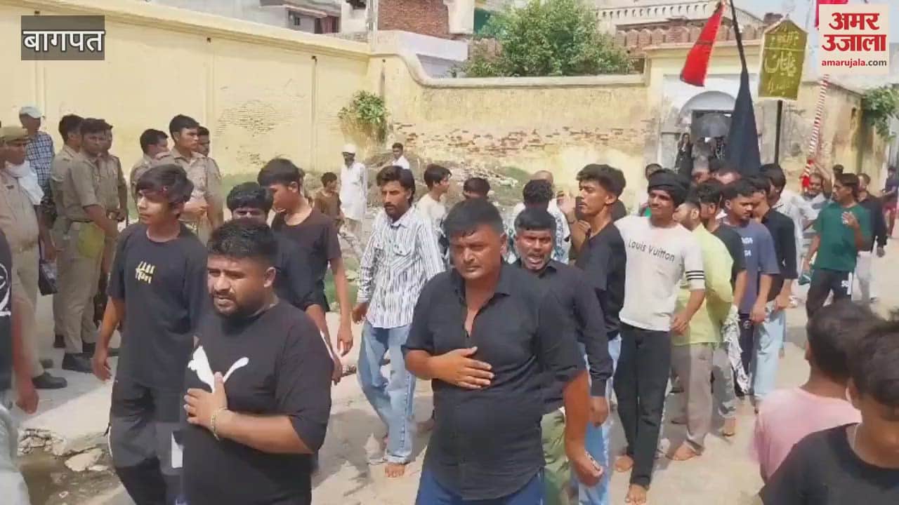 Baghpat: On the seventh day of Muharram, a procession of Imam Hussain's vehicle Duldul was taken out