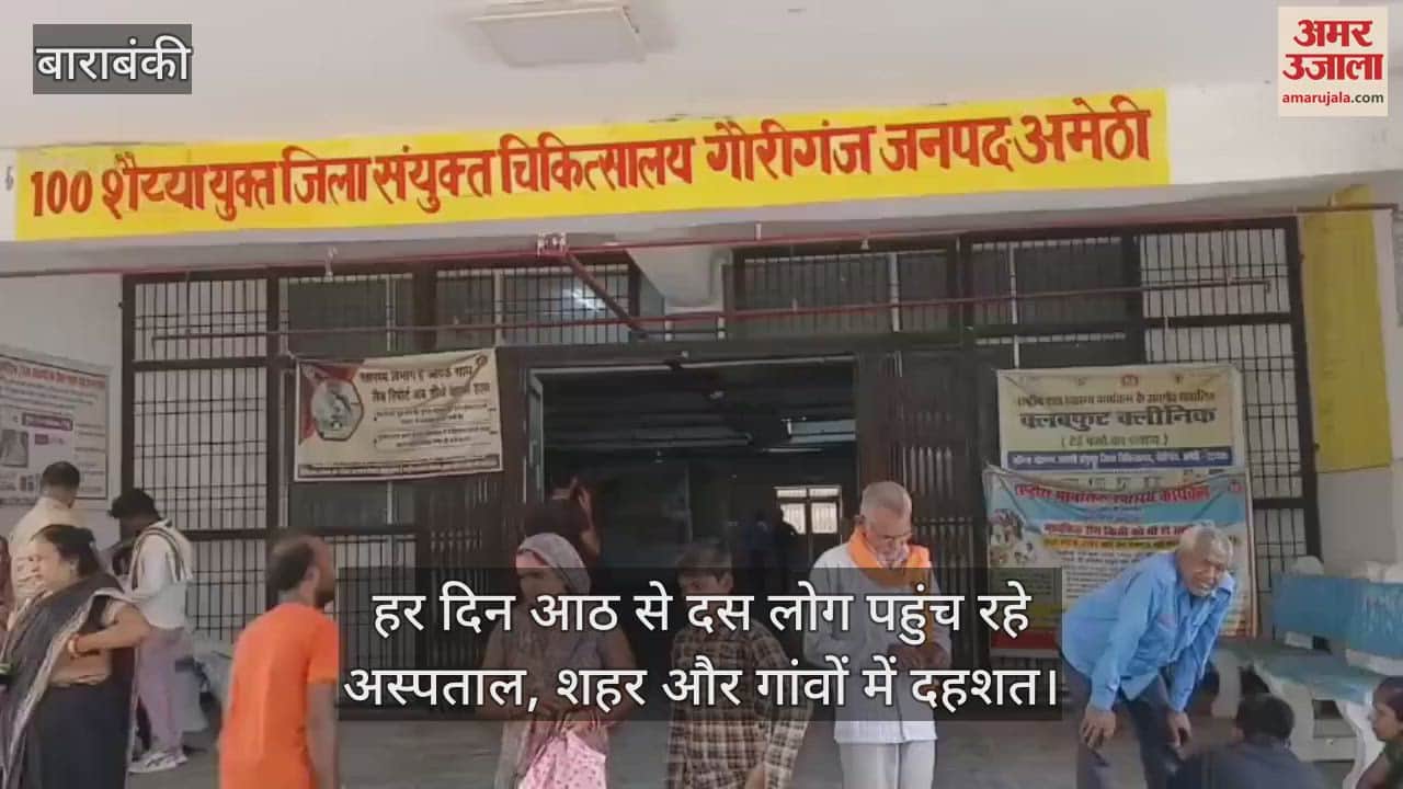 VIDEO: कुत्तों का बढ़ता खतरा, छह महीने में 18 हजार से ज्यादा लोग घायल