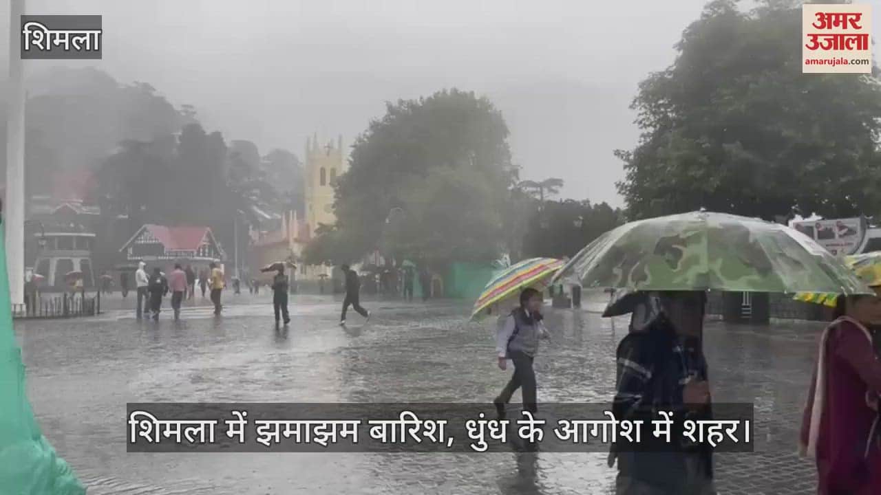 Heavy rain in Shimla, city engulfed in fog