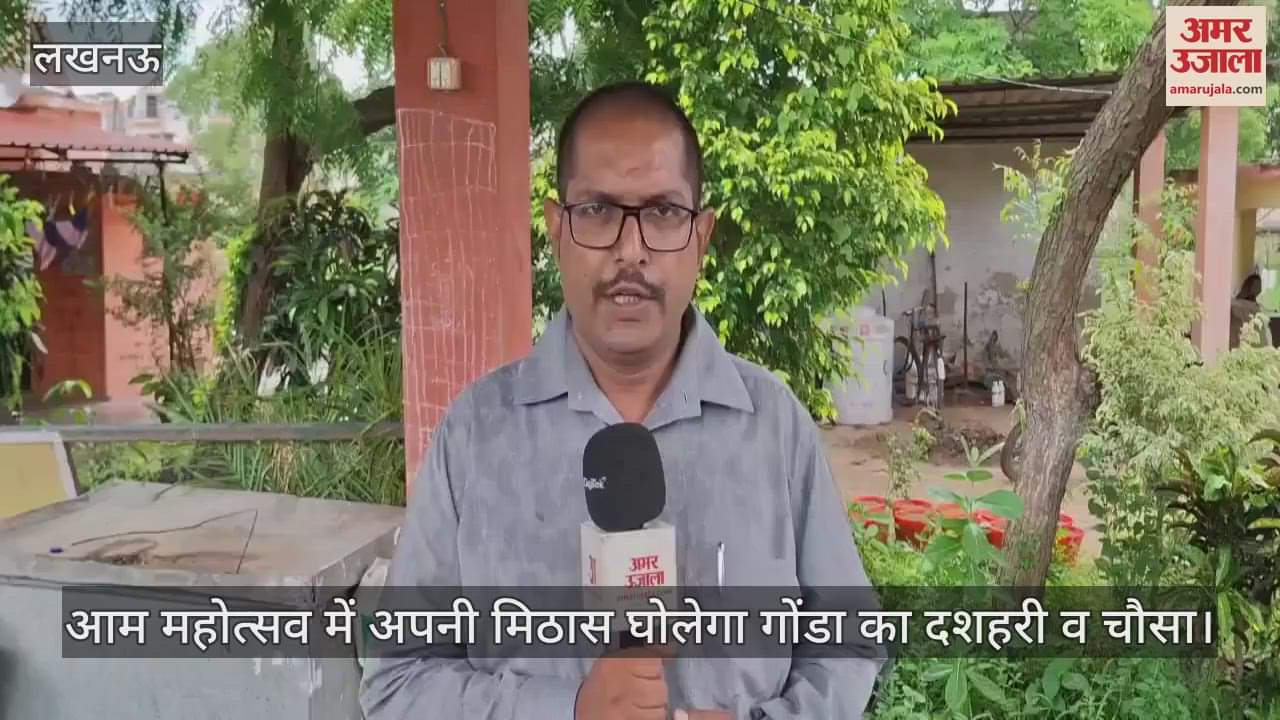 आम महोत्सव में अपनी मिठास घोलेगा गोंडा का दशहरी व चौसा