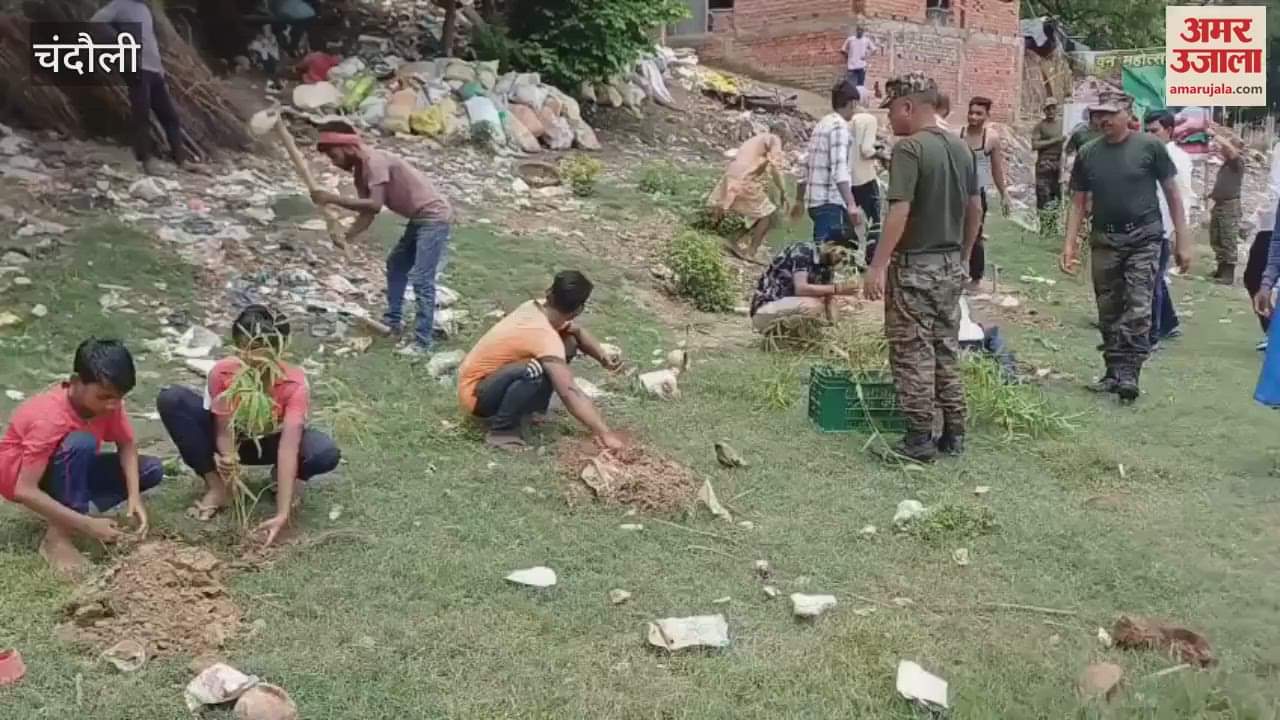 Army soldiers planted bamboo and lemon tea saplings on Van Mahotsav