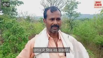 Sidhi News: There was a stir after a human skeleton was found in Karondia, police started investigating