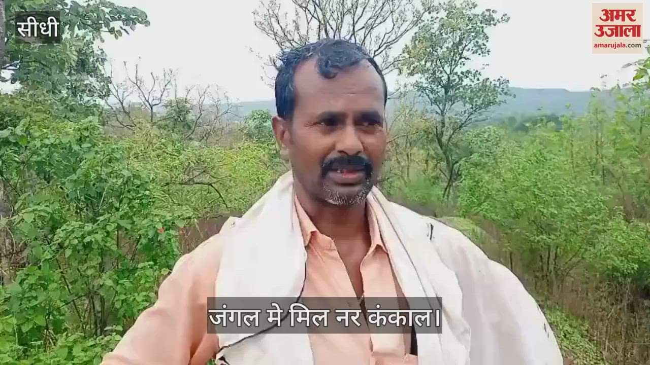 Sidhi News: There was a stir after a human skeleton was found in Karondia, police started investigating