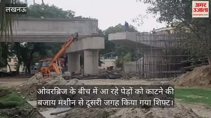 ओवरब्रिज के बीच में आ रहे पेड़ों को काटने की बजाय मशीन से दूसरी जगह किया गया शिफ्ट