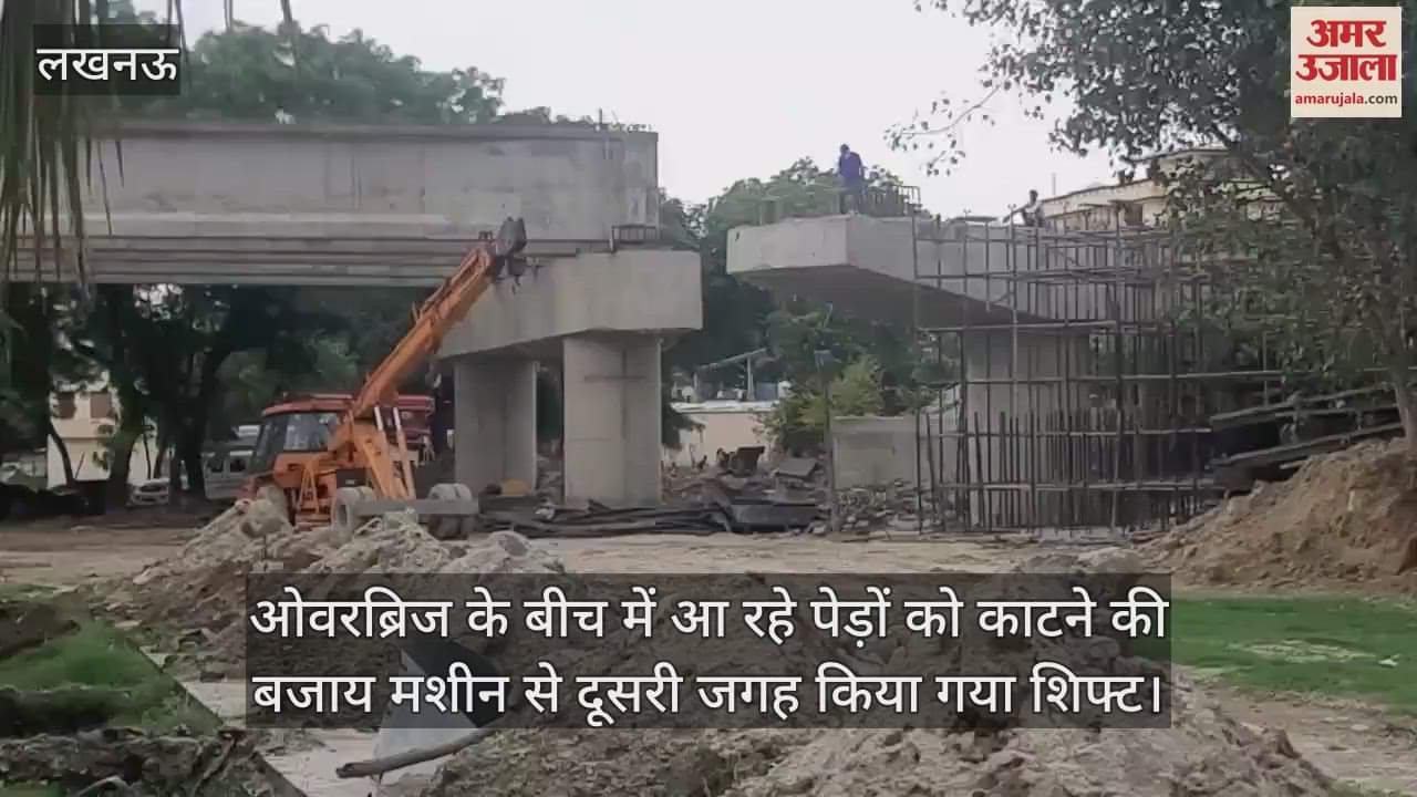 ओवरब्रिज के बीच में आ रहे पेड़ों को काटने की बजाय मशीन से दूसरी जगह किया गया शिफ्ट