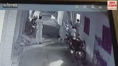 Increasing terror of stray animals in Tohana, they entered the residential street while fighting