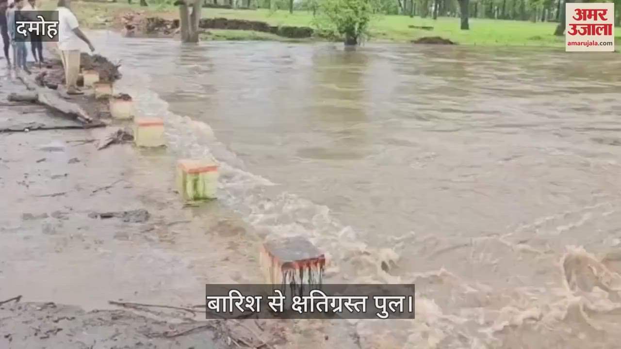 Damoh News: Part of the bridge was washed away due to heavy rain