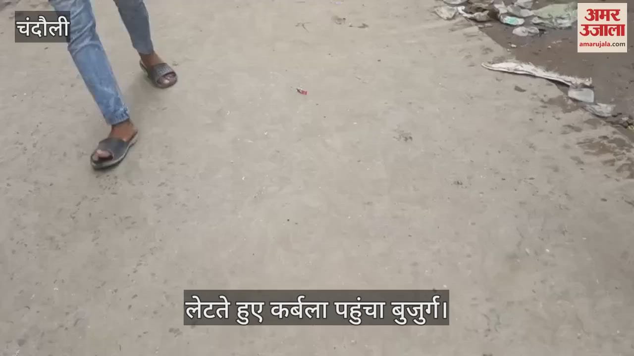 Muharram 2025 story of sacrifice of an old man in procession of Tajia