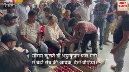 As soon as the weather cleared, the arrival of apples increased in Bhattakufar fruit market
