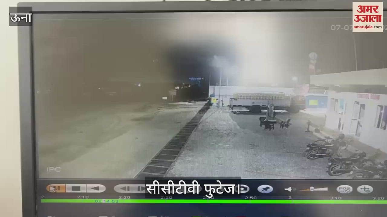 Una Buffaloes and wild boars of village Pandori were hit by a high speed tipper died on the spot