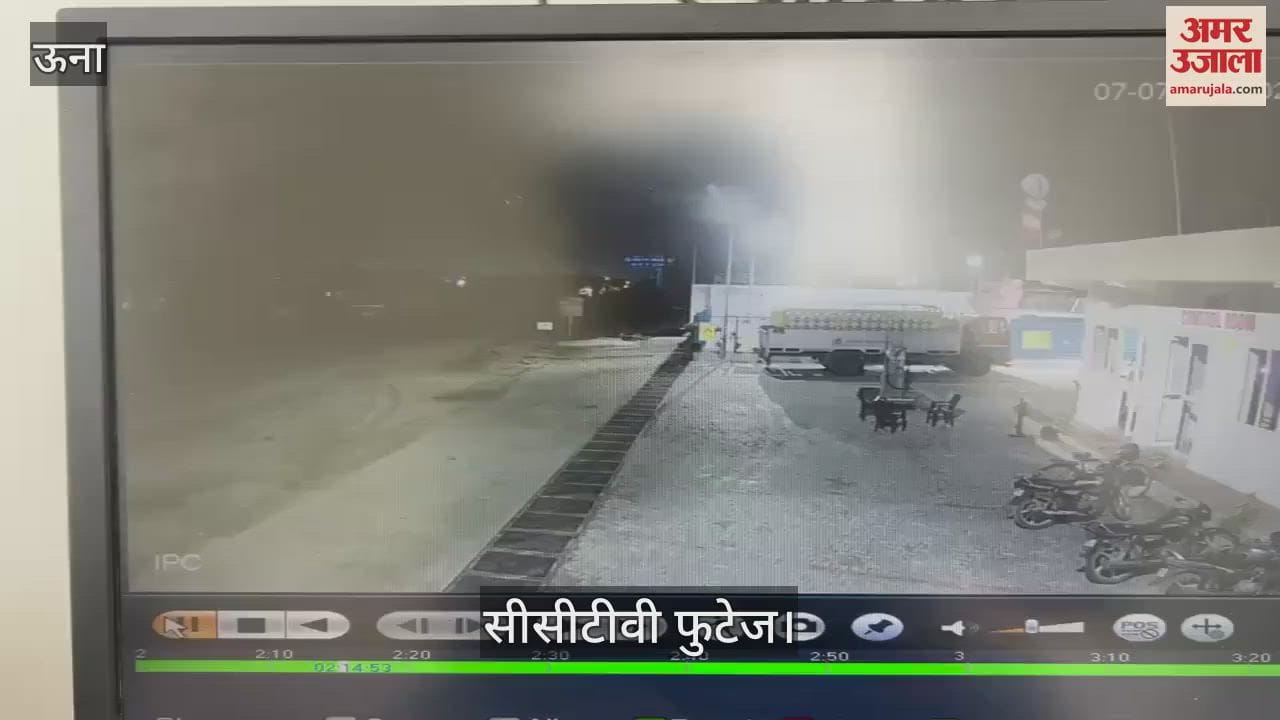 Una Buffaloes and wild boars of village Pandori were hit by a high speed tipper died on the spot