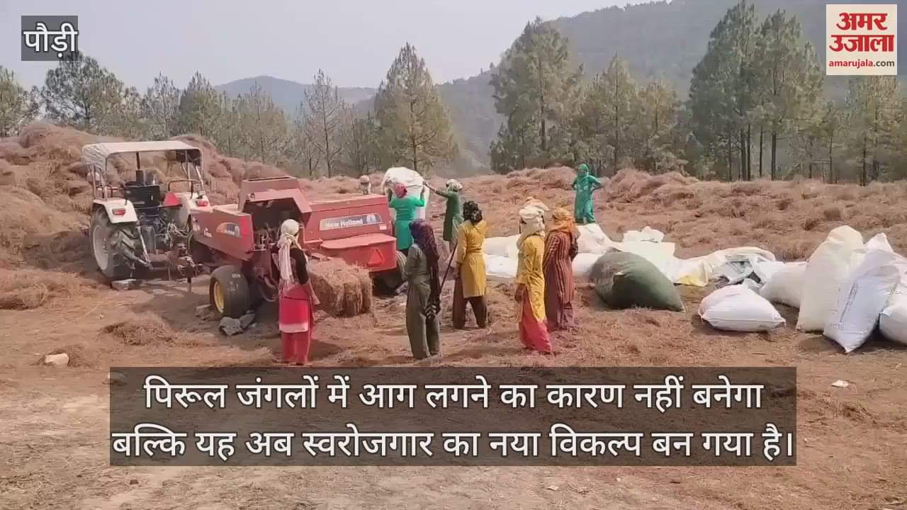 Women earned a lot by collecting Pirul Federation did business worth two crores pauri garhwal