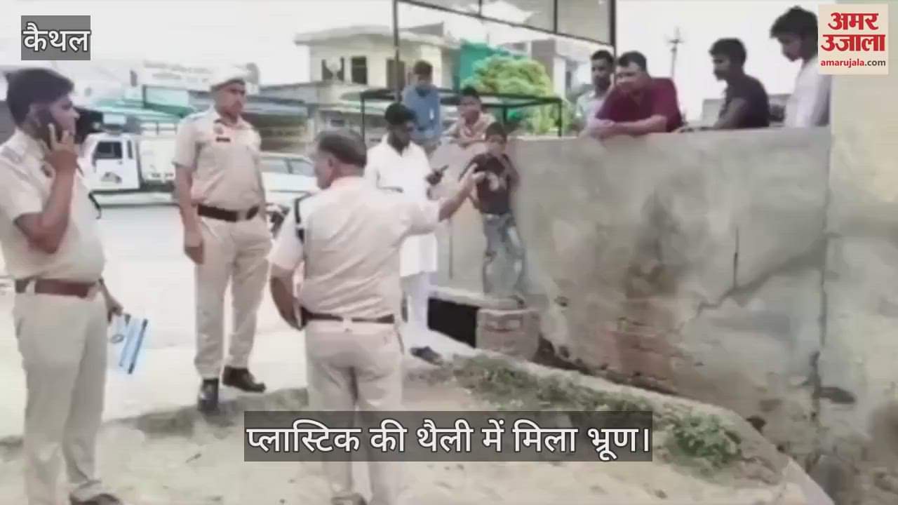 Six month old fetus found in a plastic bag