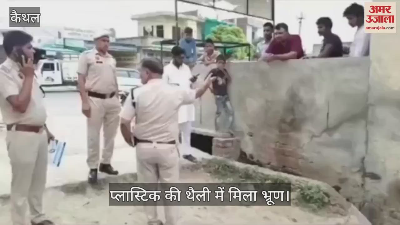 Six month old fetus found in a plastic bag