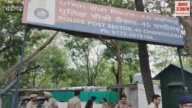 Ruckus At Chandigarh Sector 45 Budail Chowki – Amar Ujala Hindi News Live