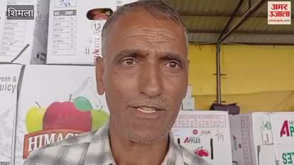 Shimla Dark Baron Gala apple sold at Rs 230 per kg record price till now