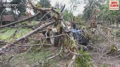 Saharanpur: Three women and one man injured due to falling of tree, tractor trolley damaged