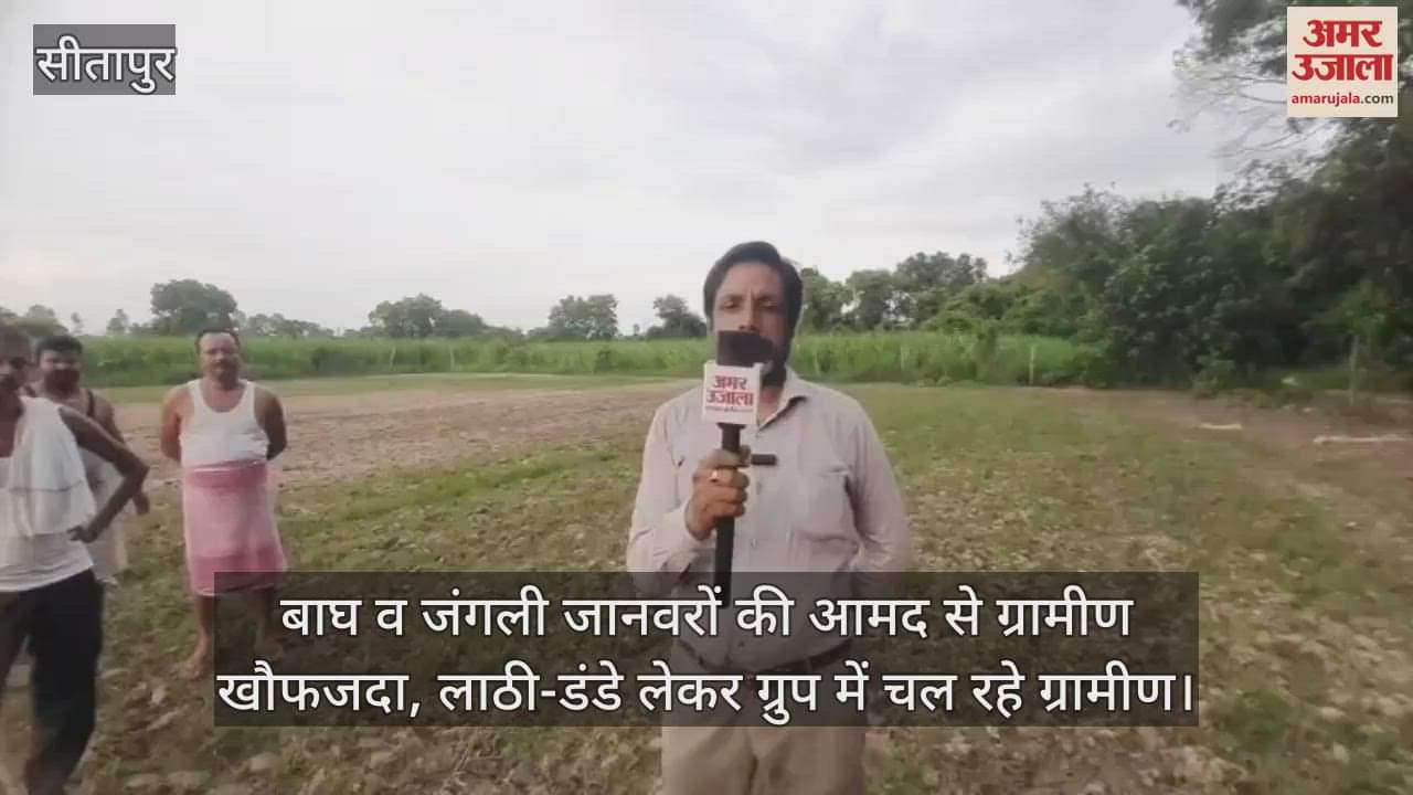 बाघ व जंगली जानवरों की आमद से ग्रामीण खौफजदा, लाठी-डंडे लेकर ग्रुप में चल रहे ग्रामीण