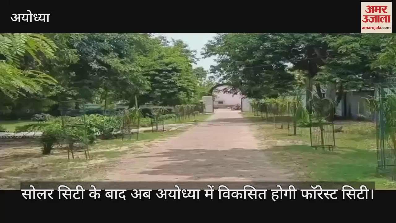 सोलर सिटी के बाद अब अयोध्या में विकसित होगी फॉरेस्ट सिटी, सीएम योगी रखेंगे आधारशिला