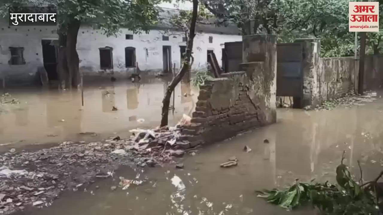 Due to heavy rain in Moradabad, Daulat Bagh and Bangla village were waterlogged, a tree fell in the railway colony
