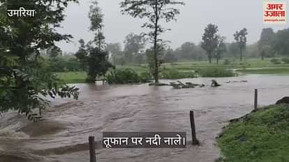 Continuous rain in Umaria district, normal life disrupted, connectivity to many cities disrupted