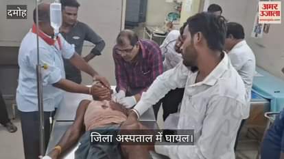 Damoh News: A tiger attacked a young man who went to search for a buffalo in the forest