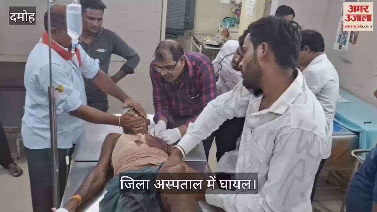 Damoh News: A tiger attacked a young man who went to search for a buffalo in the forest