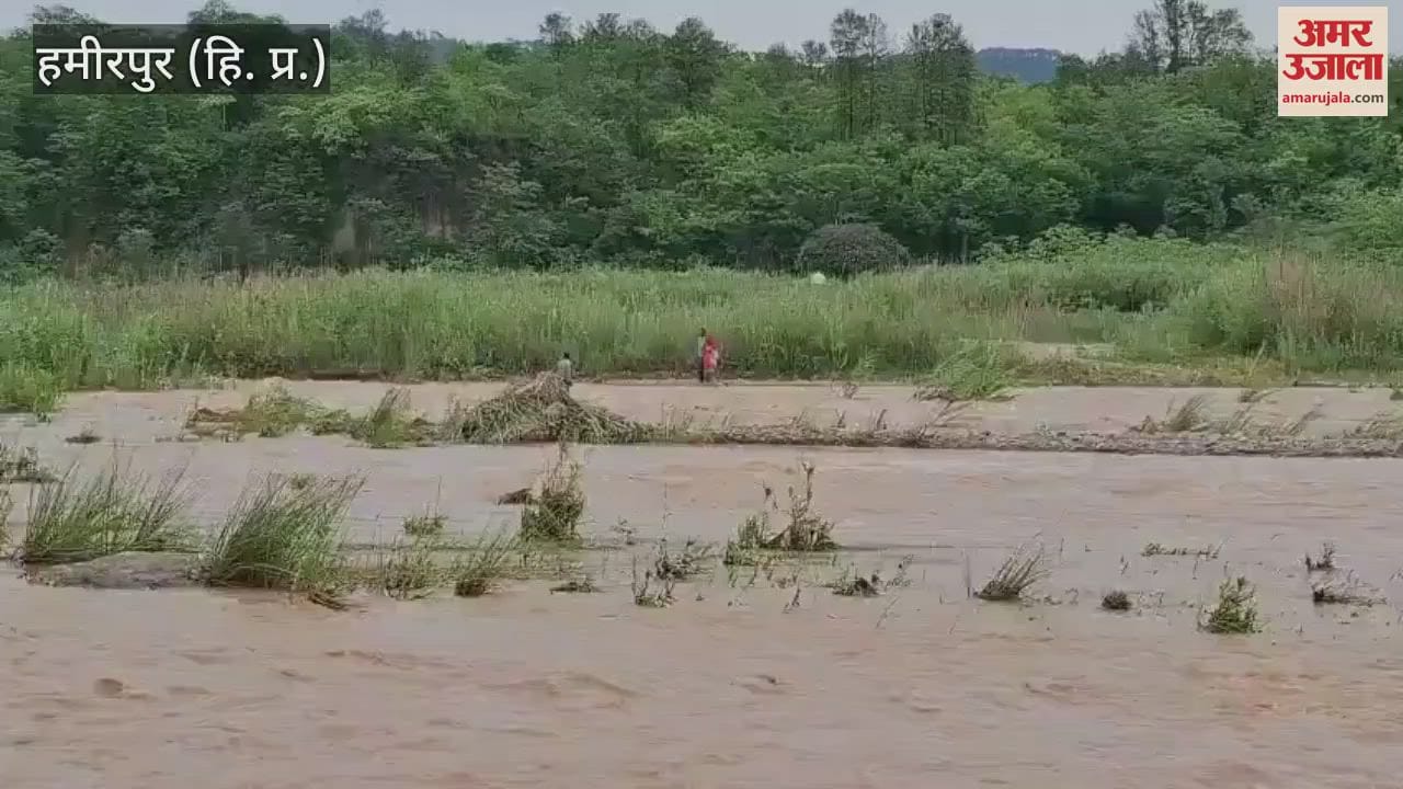 Hamirpur Migrant woman swept away into Shukkar ravine