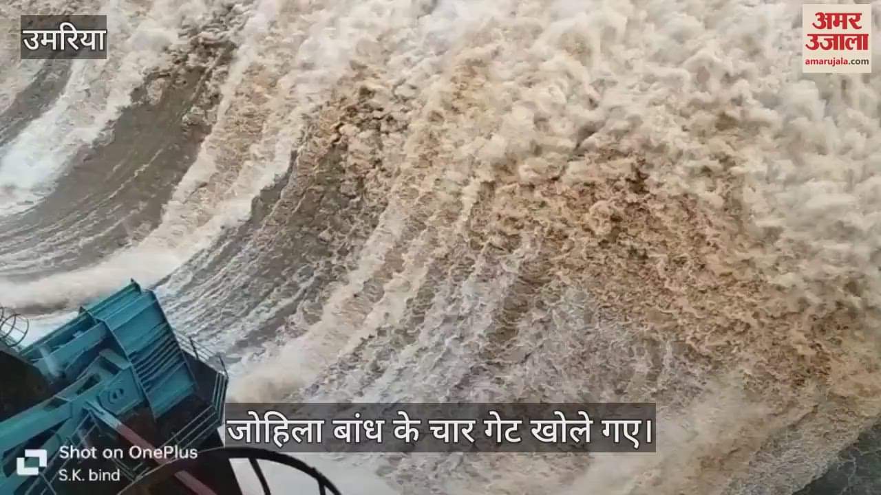 Umaria News: Due to heavy rains, four gates of Johila Dam were opened