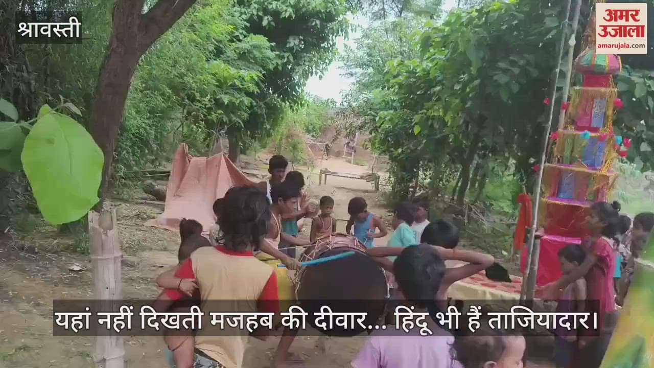 यहां नहीं दिखती मजहब की दीवार... हिंदू भी हैं ताजियादार