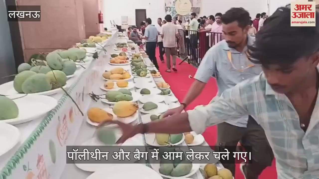 VIDEO: आम महोत्सव 2025: आम पाने के लिए मची लूट, पॉलीथीन और बैग में आम लेकर चले गए