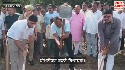 MLA and CDO planted trees