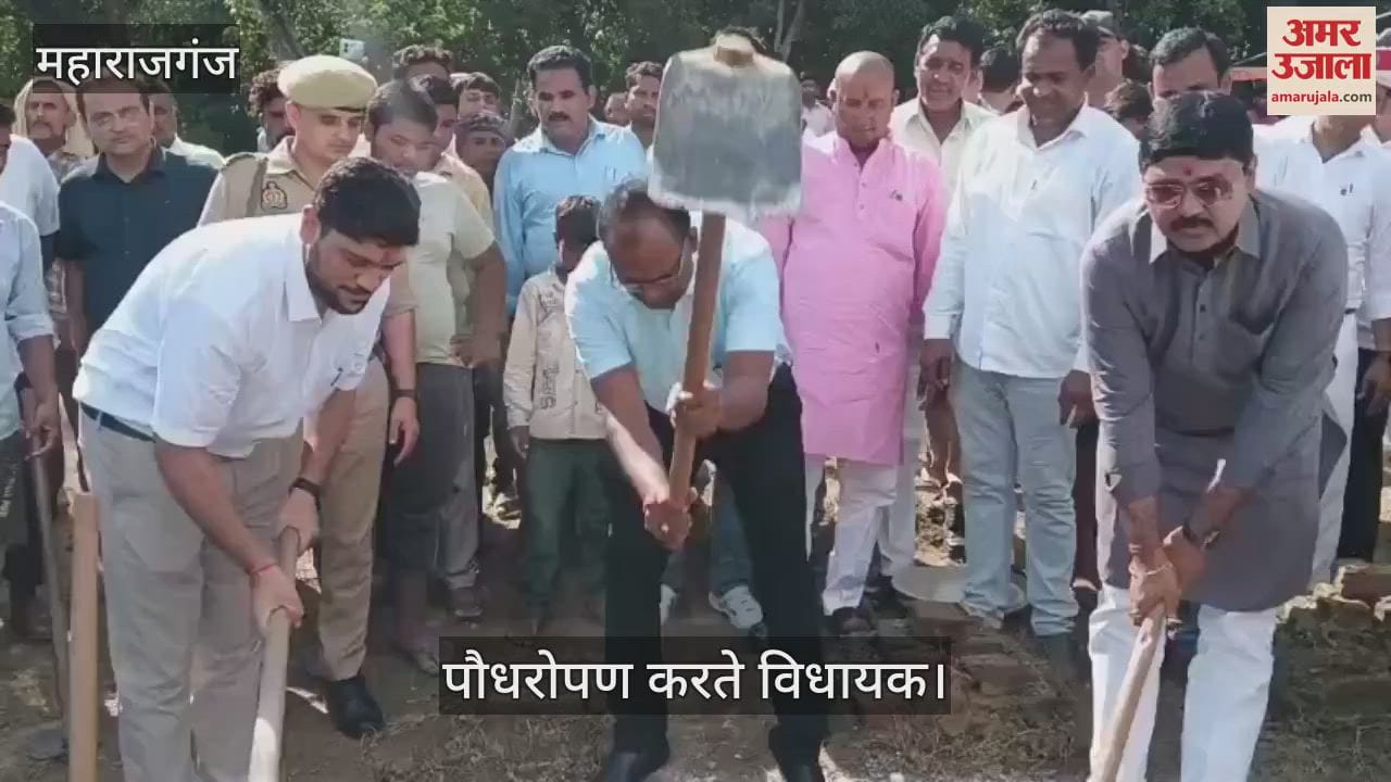 MLA and CDO planted trees