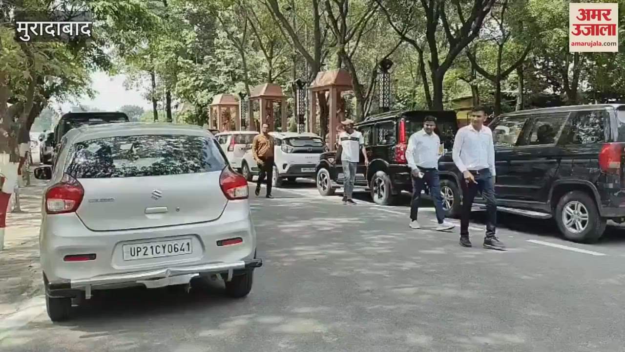 snake entered the car of the District President of Kisan Morcha, a snake charmer had to be called to catch it