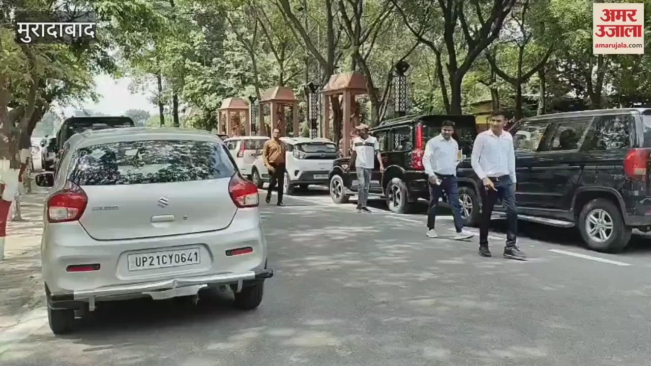 snake entered the car of the District President of Kisan Morcha, a snake charmer had to be called to catch it