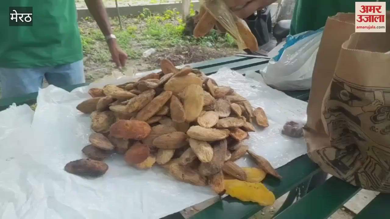 Under the campaign 'Meri Guthli Mera Ped', the Forest Department gave a flowerbed to the Environment Club