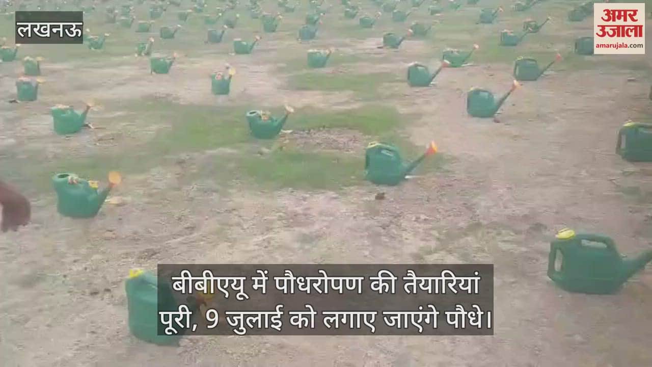 बीबीएयू में पौधरोपण की तैयारियां पूरी, 9 जुलाई को लगाए जाएंगे पौधे