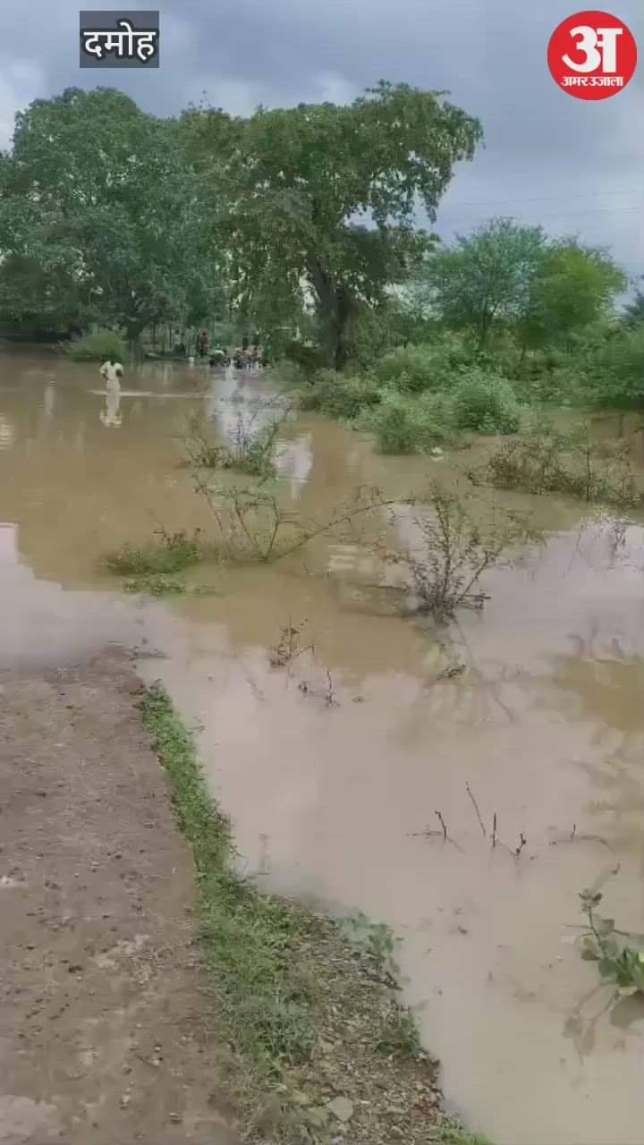 Damoh News: Damoh Katni road closed after Chhatarpur due to continuous rain