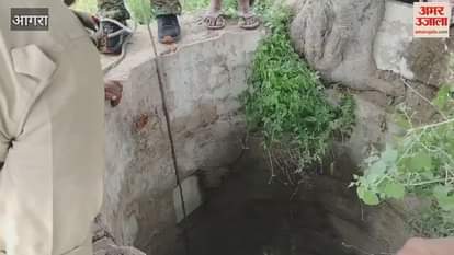 National bird peacock rescued by forest department team
