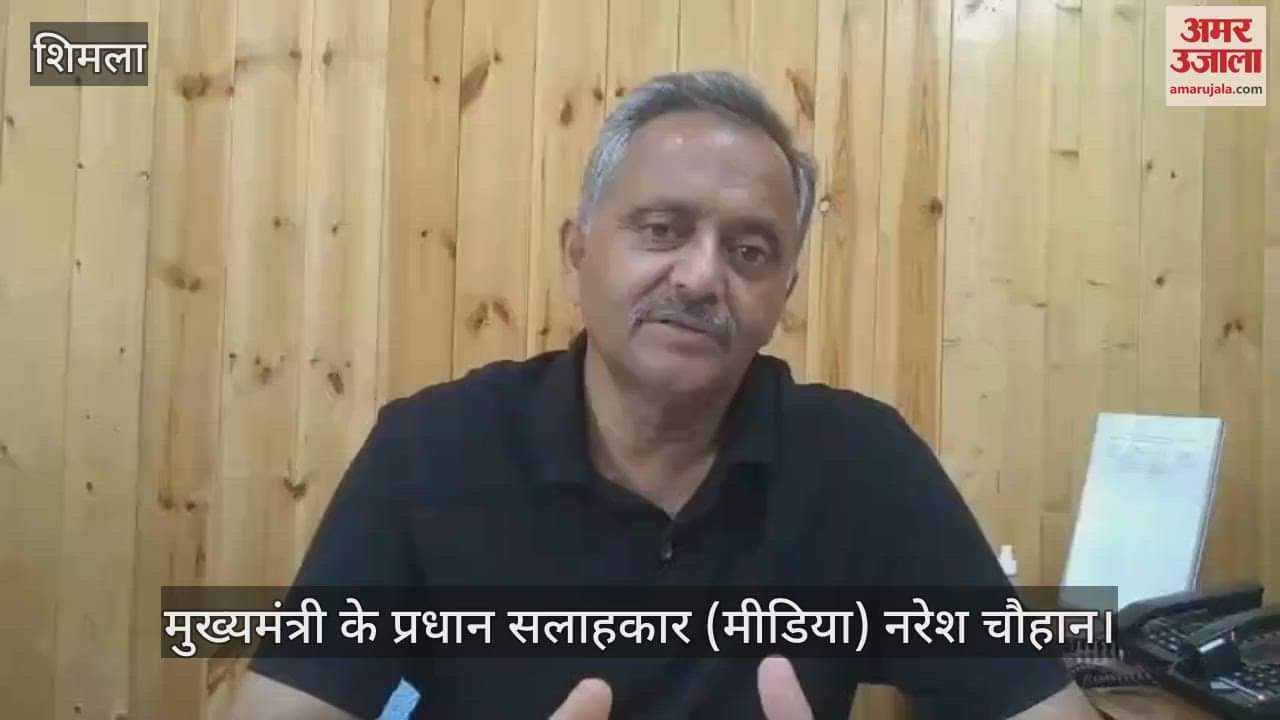 cm gave instructions for scientific investigation of mysterious apple disease, leaves are turning yellow