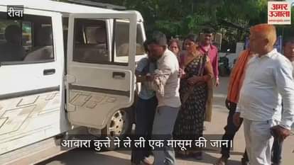 Rewa News: Infection reached the brain, Nitin died due to dog bite