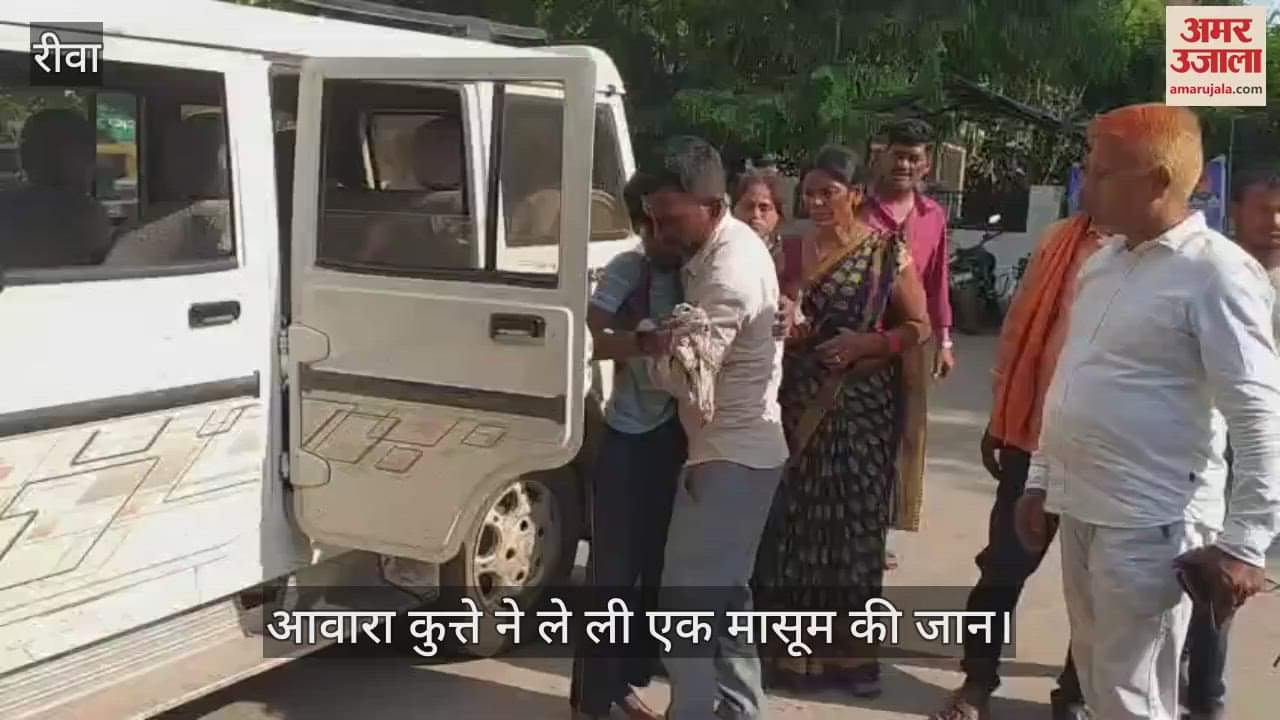 Rewa News: Infection reached the brain, Nitin died due to dog bite